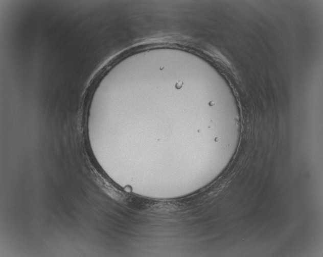 X0000082151216200702092142