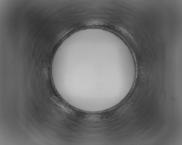 X0000082151217200702092142