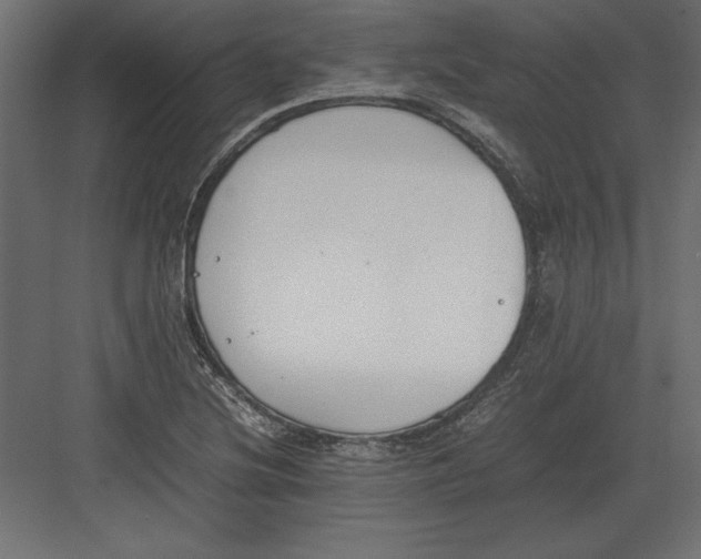 X0000082151220200702092142