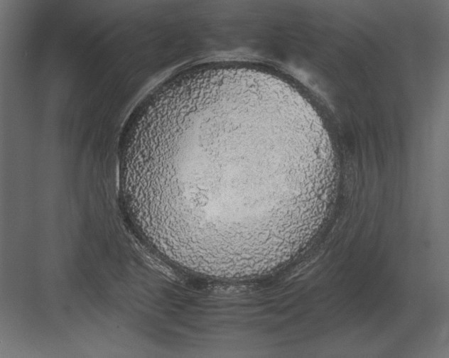 X0000082151221200702092142