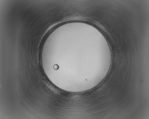 X0000082151222200702092142