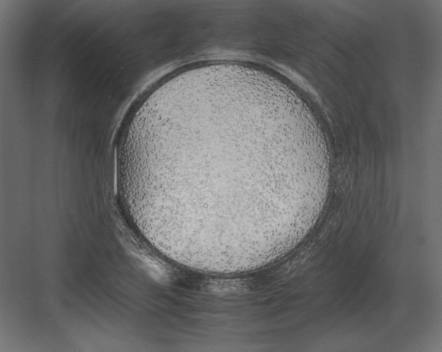 X0000082151223200702092142