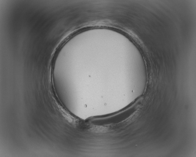 X0000082151224200702092142