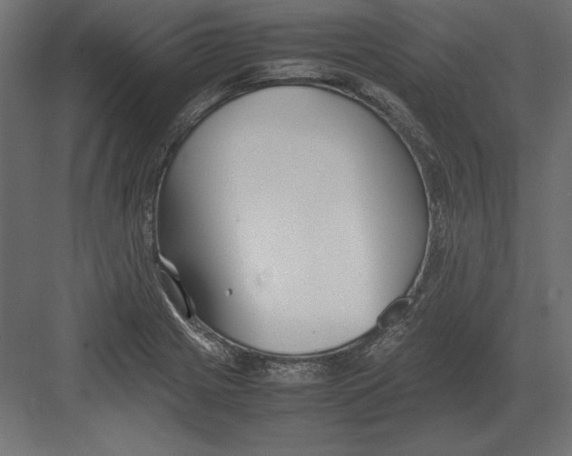 X0000082151225200702092142