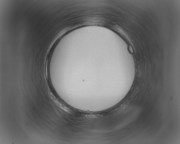 X0000082151227200702092142