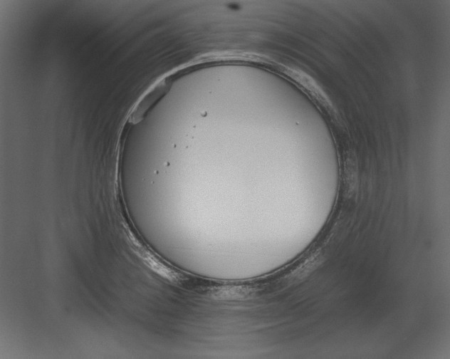 X0000082151228200702092142