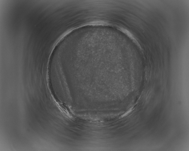 X0000082151229200702092142