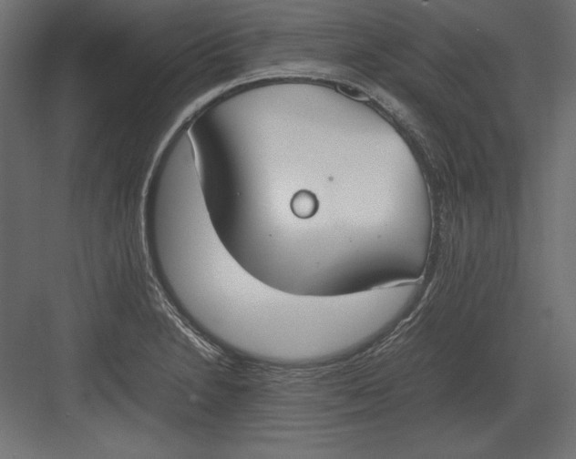 X0000082151230200702092142