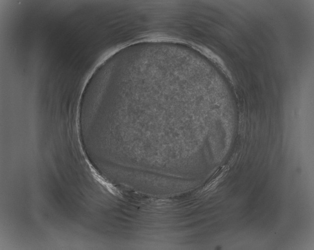 X0000082151231200702092142