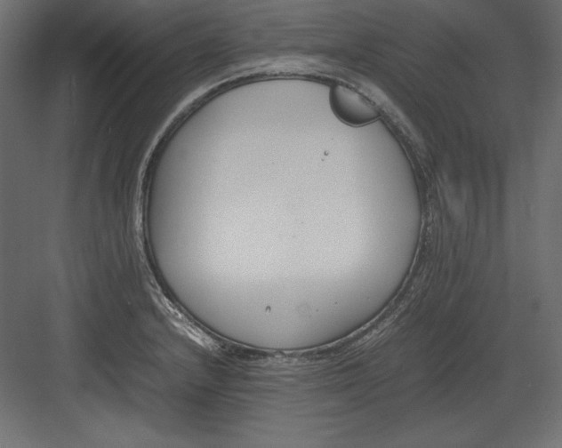 X0000082151232200702092142