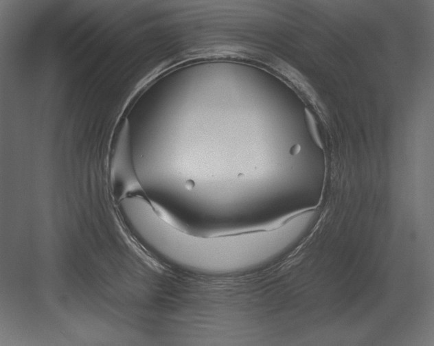 X0000082151234200702092143