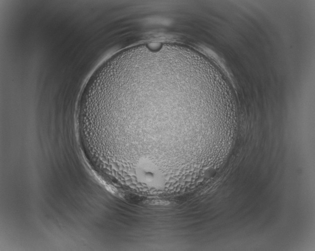 X0000082151235200702092143