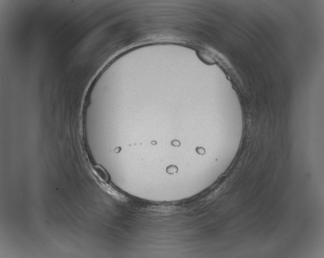 X0000082151236200702092143