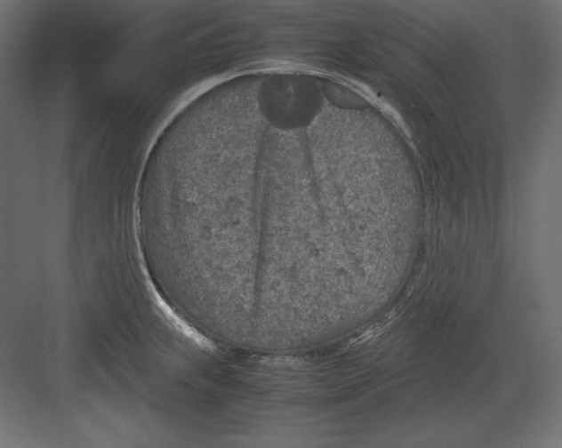 X0000082151239200702092143