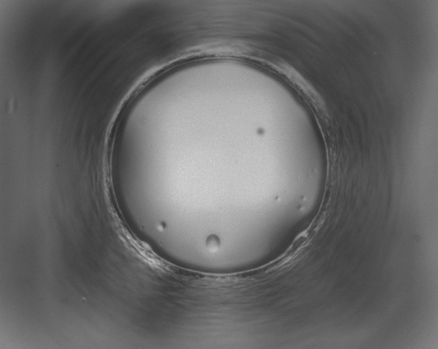 X0000082151240200702092143