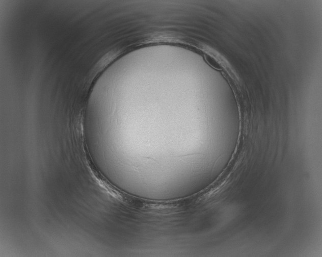 X0000082151241200702092143