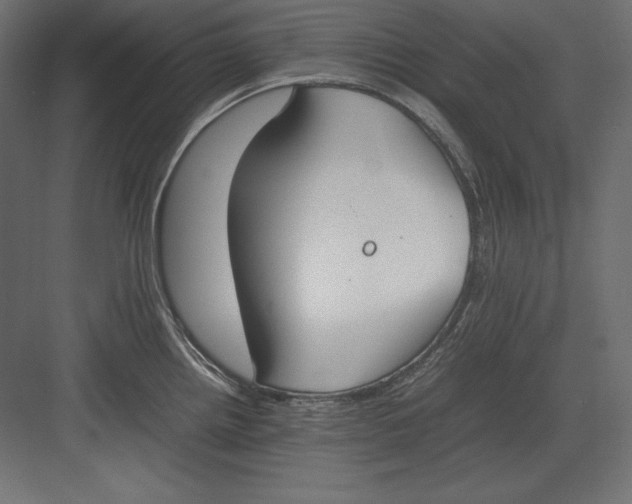 X0000082151242200702092143