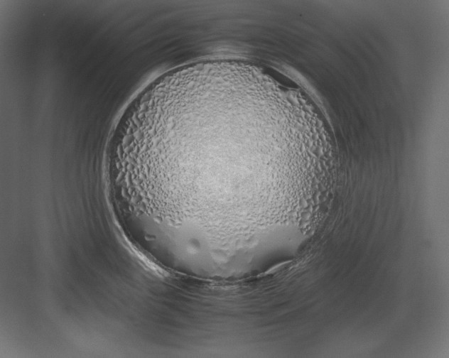 X0000082151243200702092143