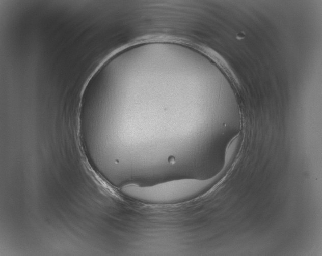 X0000082151244200702092143