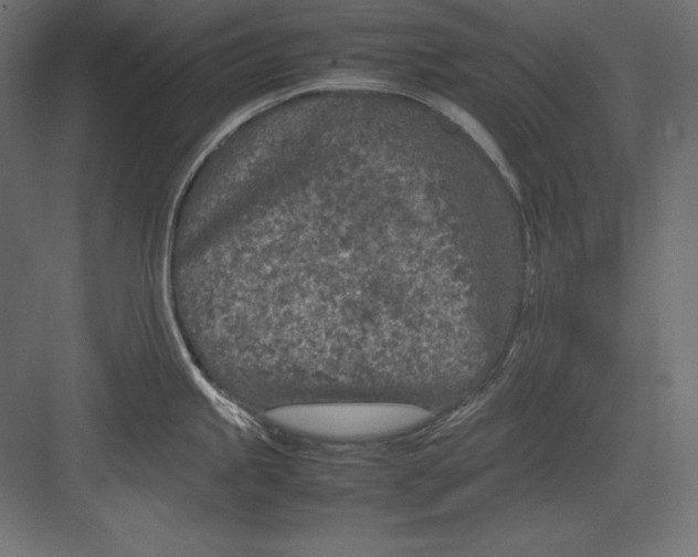 X0000082151245200702092143