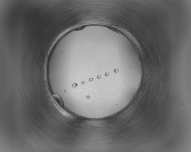 X0000082151246200702092143