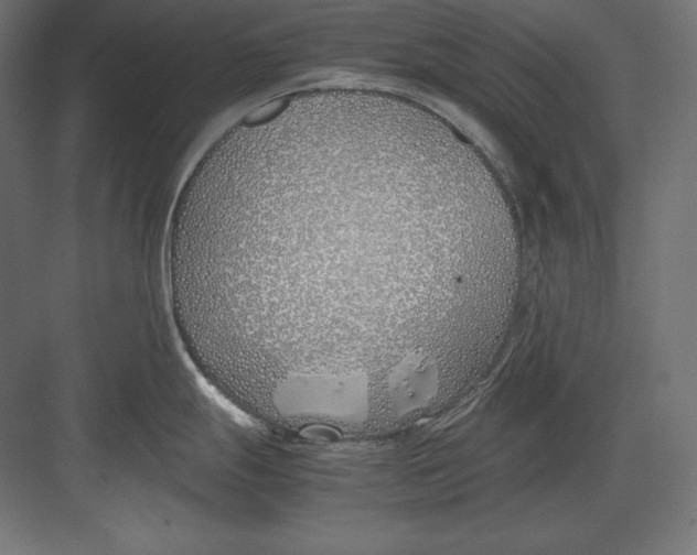 X0000082151247200702092143