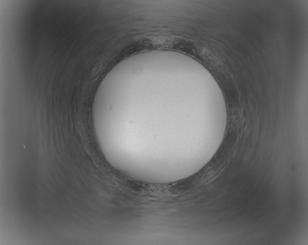 X0000082151249200702092142