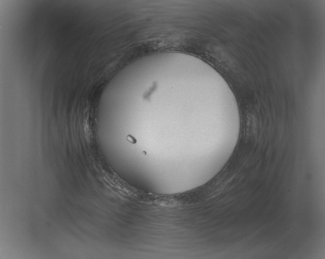 X0000082151250200702092142