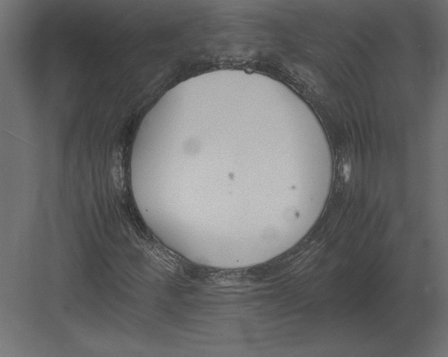 X0000082151252200702092142