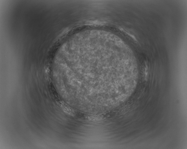 X0000082151254200702092142