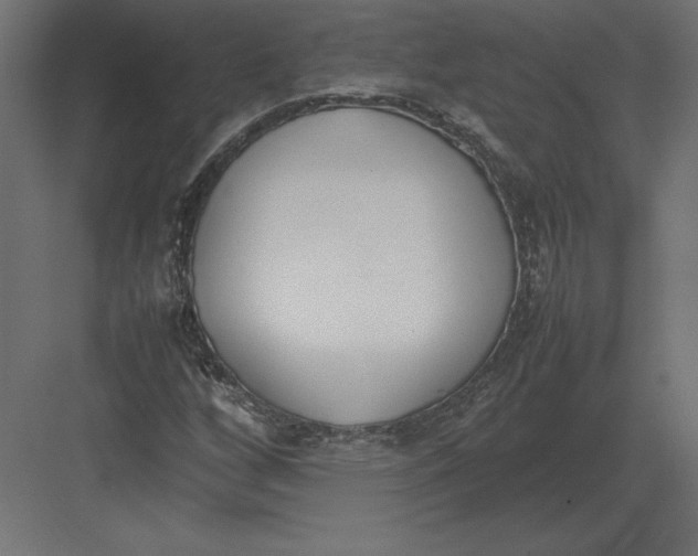 X0000082151256200702092142