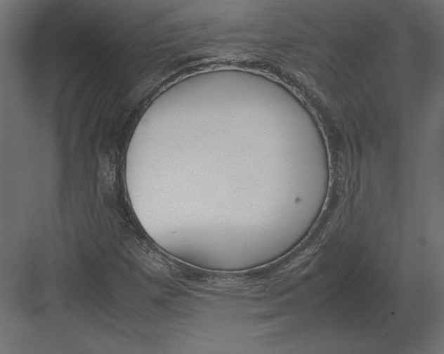 X0000082151257200702092142