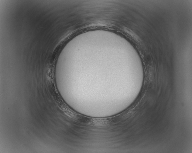 X0000082151258200702092142