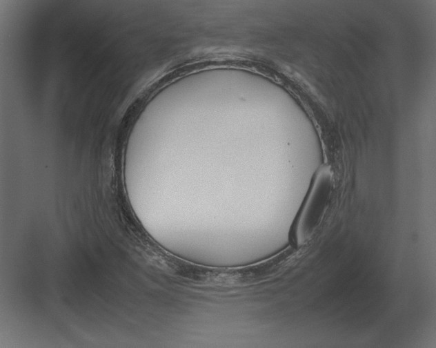 X0000082151261200702092142