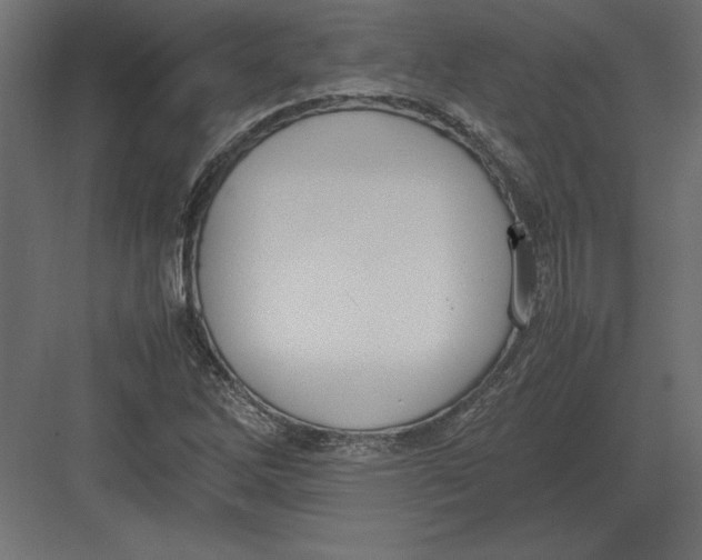 X0000082151262200702092142