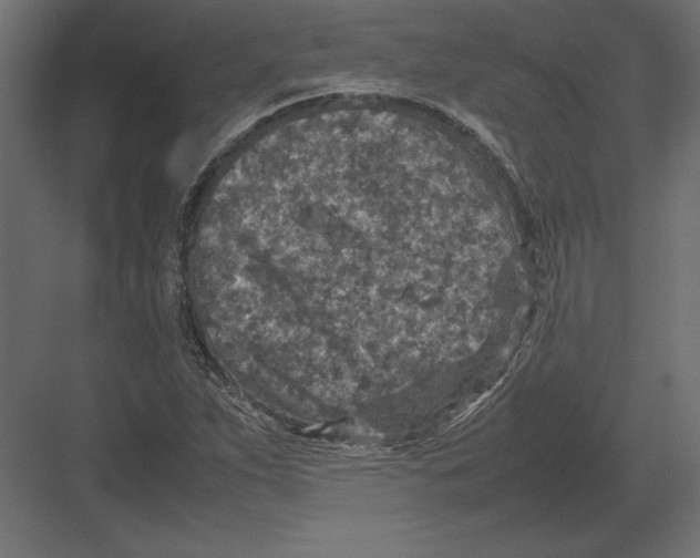 X0000082151263200702092142