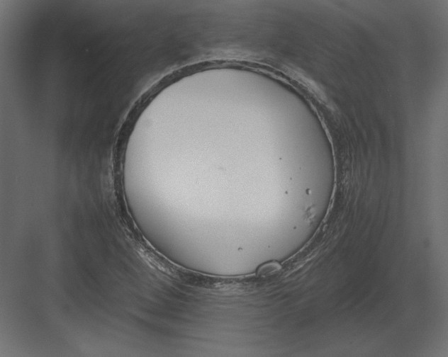 X0000082151264200702092142