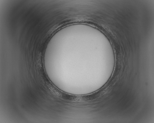 X0000082151265200702092142