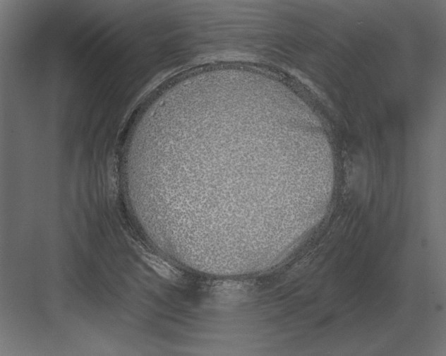 X0000082151266200702092142