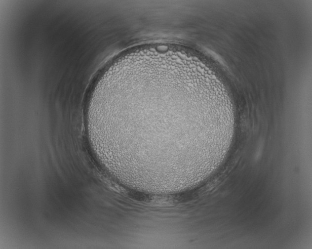 X0000082151267200702092142