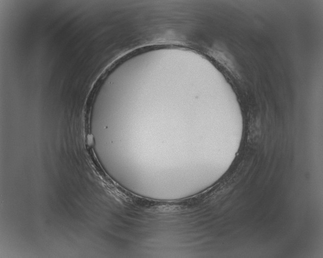 X0000082151268200702092142