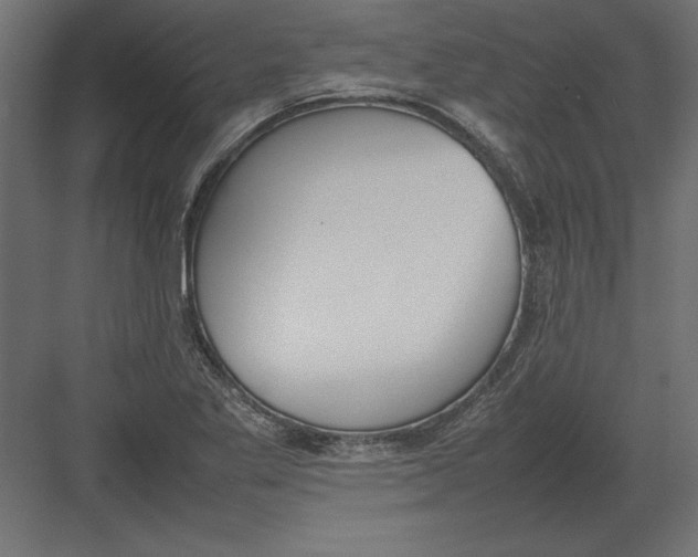 X0000082151269200702092142