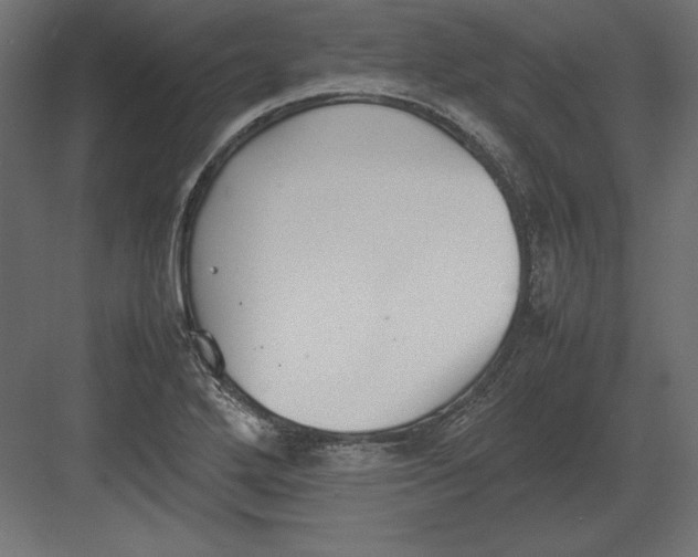 X0000082151272200702092142