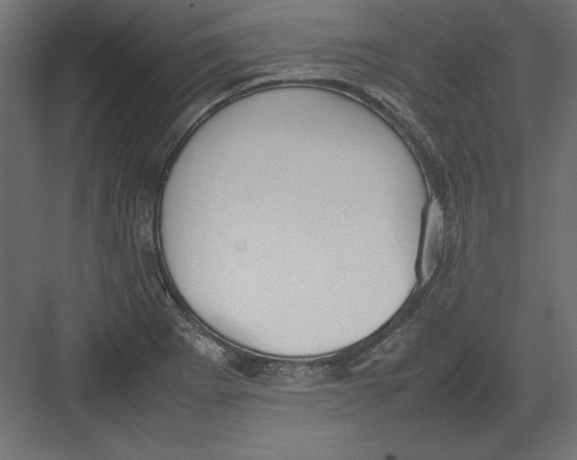 X0000082151273200702092142