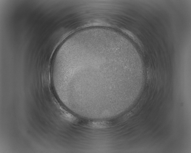 X0000082151274200702092142