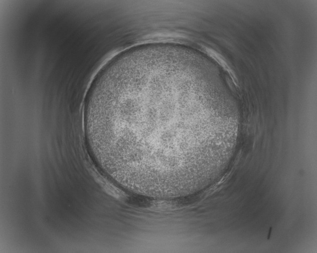 X0000082151275200702092142