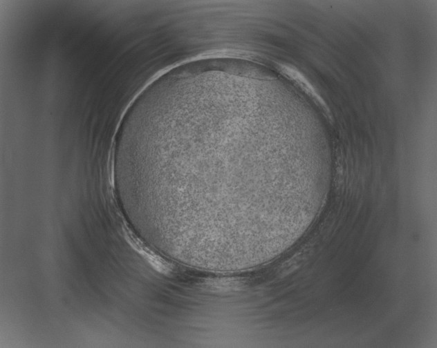 X0000082151276200702092142