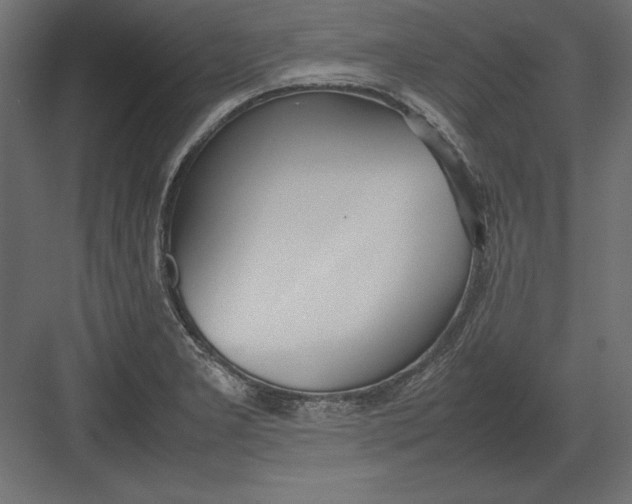 X0000082151277200702092141