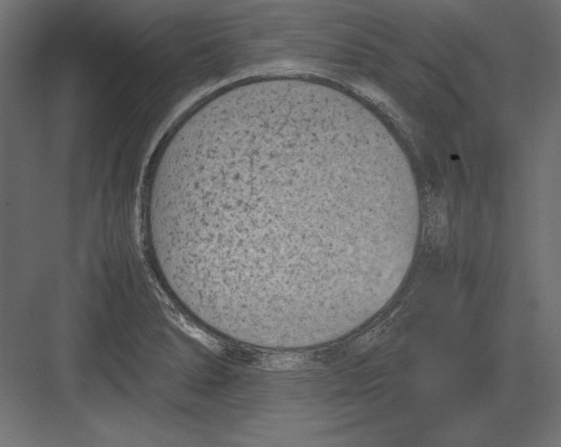 X0000082151278200702092141