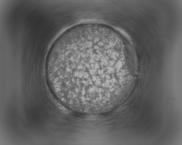 X0000082151279200702092141